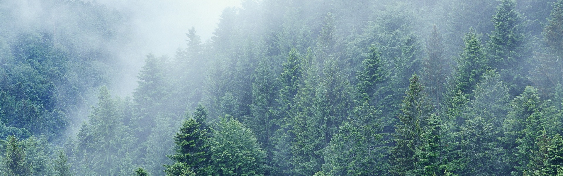 IMPAQ愿景
